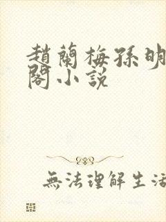 赵兰梅孙明笔趣阁小说