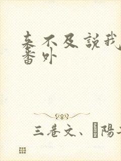 来不及说我爱你番外