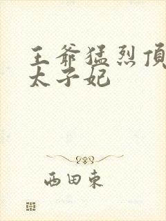 王爷猛烈顶弄H太子妃