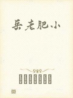 岳老肥小