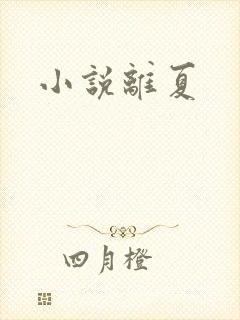 小说离夏
