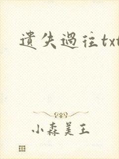 遗失过往txt