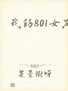 我的801女友