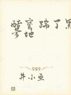 酷宝 踹了黑道爹地