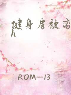 健身房被脔日常h