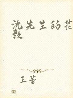 沈先生的花式调教