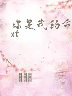 你是我的命运txt