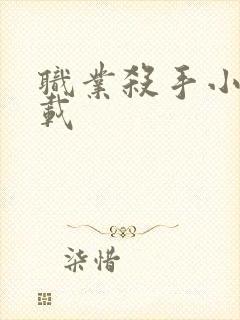 职业杀手小说下载