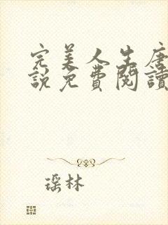 完美人生唐诚小说免费阅读