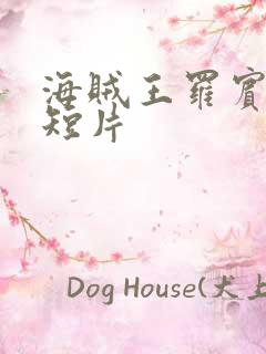 海贼王罗宾被h短片