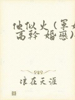 他似火 (军婚 高干 婚恋)全文在线阅读