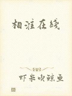 相淮在线
