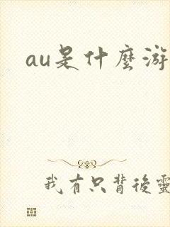 au是什么游戏