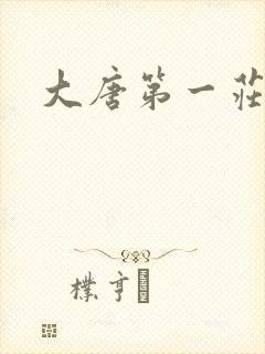 大唐第一庄