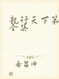 龙行天下第3部全集