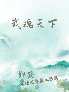 武魂天下