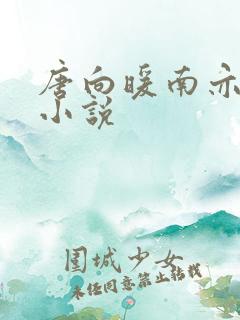 唐向暖南亦琛的小说