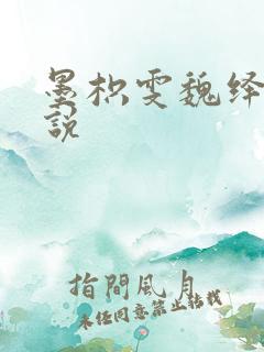 墨枳雯魏绎颔小说