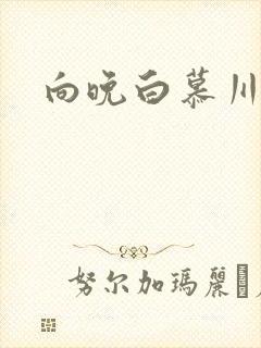 向晚白慕川