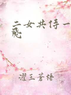 二女共侍一夫双飞
