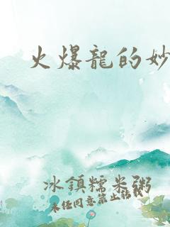 火爆龙的妙管家