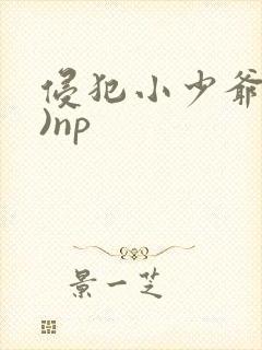 侵犯小少爷(H)np