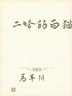 二哈的白猫师尊