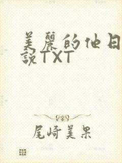 美丽的他日剧小说TXT