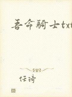 吾命骑士txt