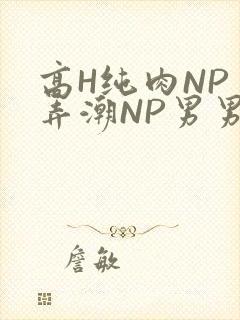 高H纯肉NP 弄潮NP男男