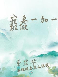 宠妻一加一老婆难做