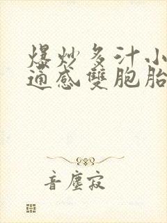 爆炒多汁小美人通感双胞胎