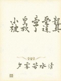 小皇帝受龙椅上被放了道具