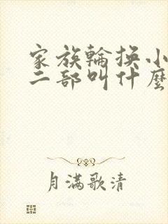 家族轮换小说第二部叫什么名字