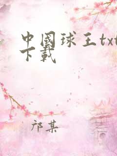 中国球王txt下载