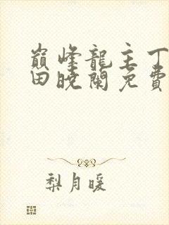 巅峰龙主丁长顺田晓兰免费阅读