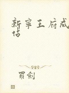 新宁王府成人网站