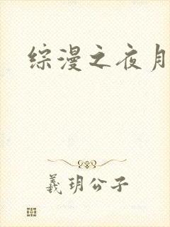 综漫之夜月