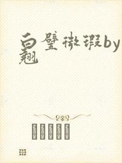 白璧微瑕by连翘