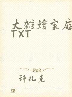 大杂烩家庭小说TXT