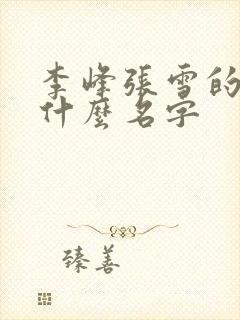李峰张雪的书叫什么名字