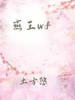 燕王wf