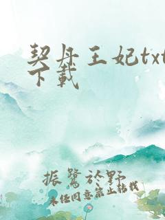 契丹王妃txt下载