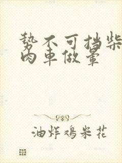 势不可挡柴鸡蛋肉车做晕