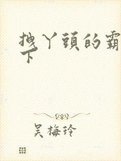 拽丫头的霸道殿下