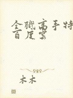 全职高手特别篇百度云