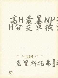 高H黄暴NP辣H公交车检票员