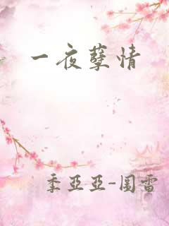 一夜孽情