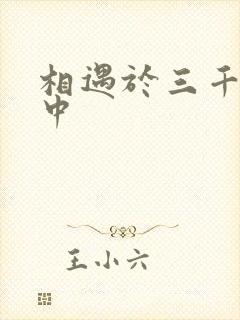 相遇于三千肉文中