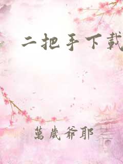 二把手下载